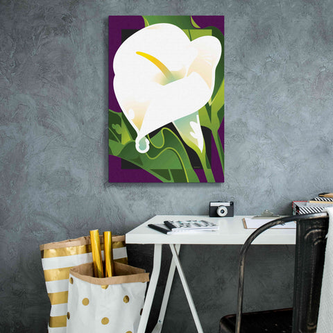 Image of 'Calla Lily' by David Chestnutt, Giclee Canvas Wall Art,18 x 26