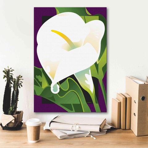 Image of 'Calla Lily' by David Chestnutt, Giclee Canvas Wall Art,18 x 26