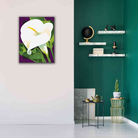 Image of 'Calla Lily' by David Chestnutt, Giclee Canvas Wall Art,26 x 34