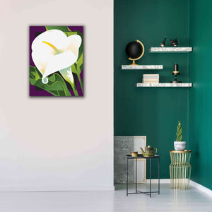 'Calla Lily' by David Chestnutt, Giclee Canvas Wall Art,26 x 34
