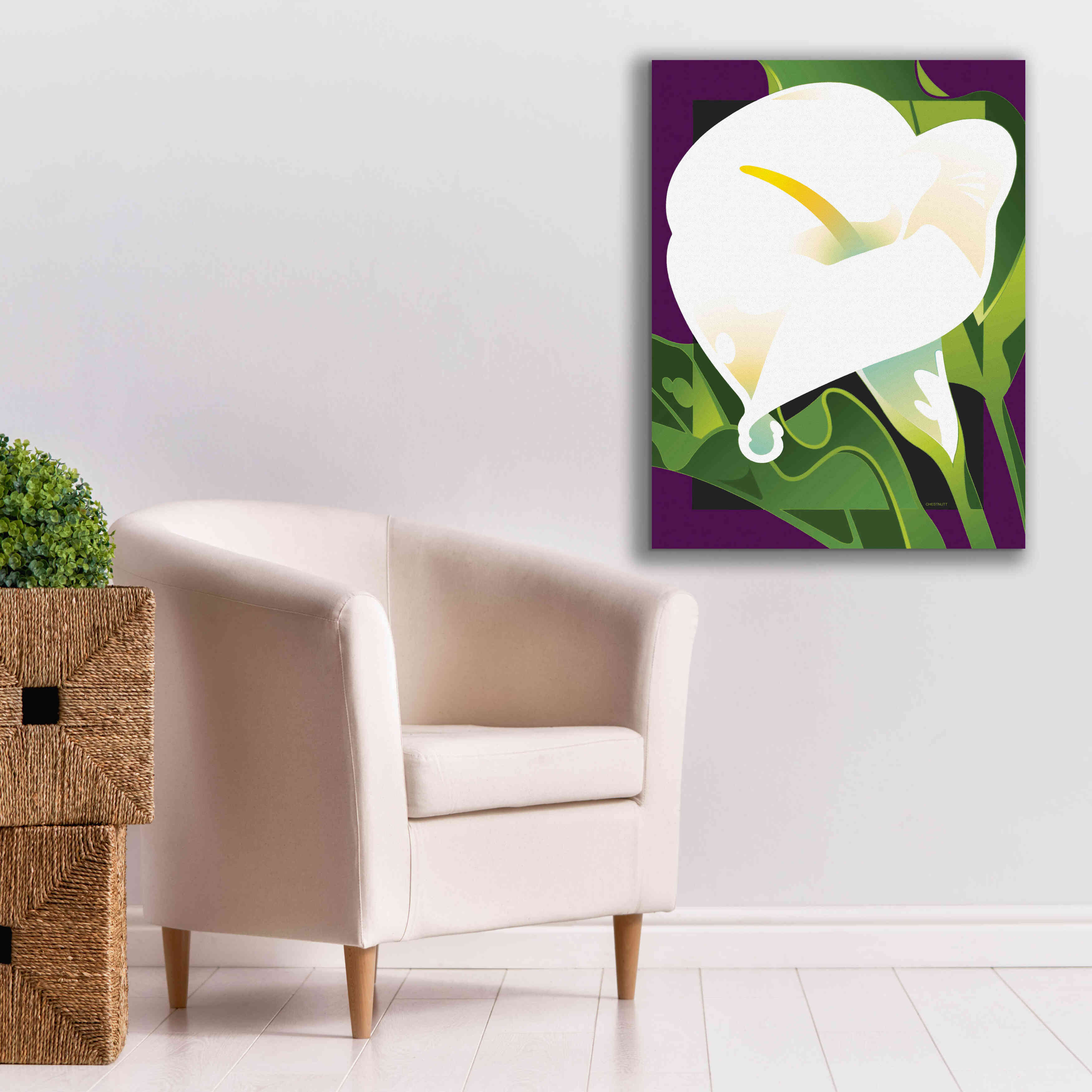 'Calla Lily' by David Chestnutt, Giclee Canvas Wall Art,26 x 34