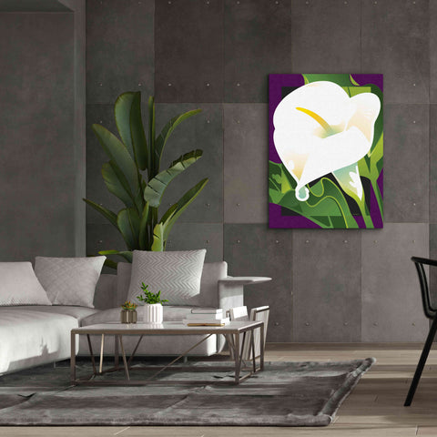 Image of 'Calla Lily' by David Chestnutt, Giclee Canvas Wall Art,40 x 54