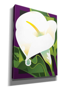 'Calla Lily' by David Chestnutt, Giclee Canvas Wall Art