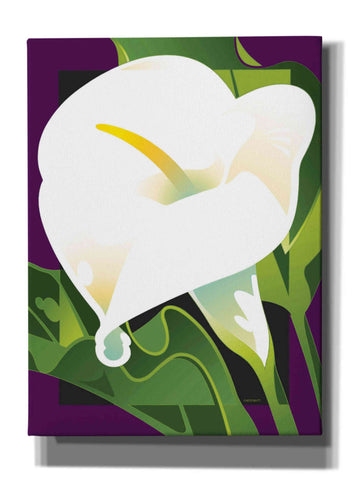 Image of 'Calla Lily' by David Chestnutt, Giclee Canvas Wall Art