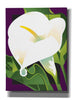 'Calla Lily' by David Chestnutt, Giclee Canvas Wall Art