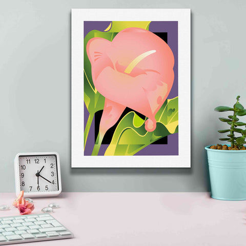 Image of 'Calla Pink' by David Chestnutt, Giclee Canvas Wall Art,12 x 16
