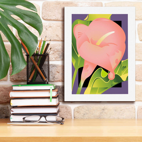 Image of 'Calla Pink' by David Chestnutt, Giclee Canvas Wall Art,12 x 16