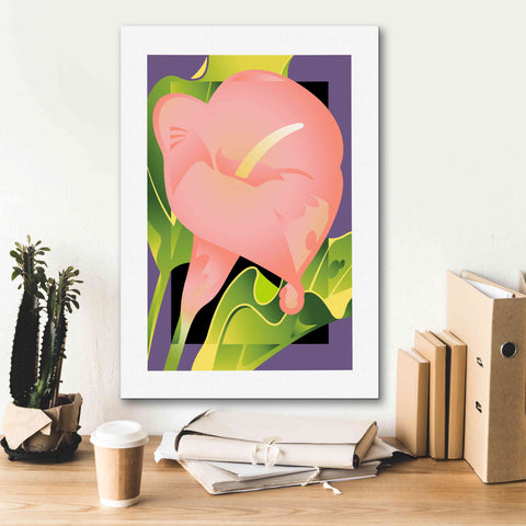 Image of 'Calla Pink' by David Chestnutt, Giclee Canvas Wall Art,18 x 26