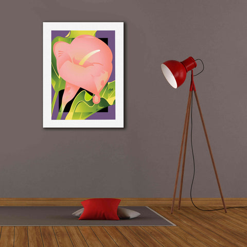 Image of 'Calla Pink' by David Chestnutt, Giclee Canvas Wall Art,26 x 34