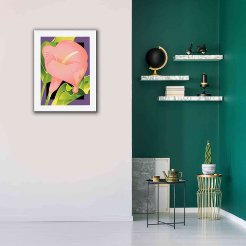 Image of 'Calla Pink' by David Chestnutt, Giclee Canvas Wall Art,26 x 34