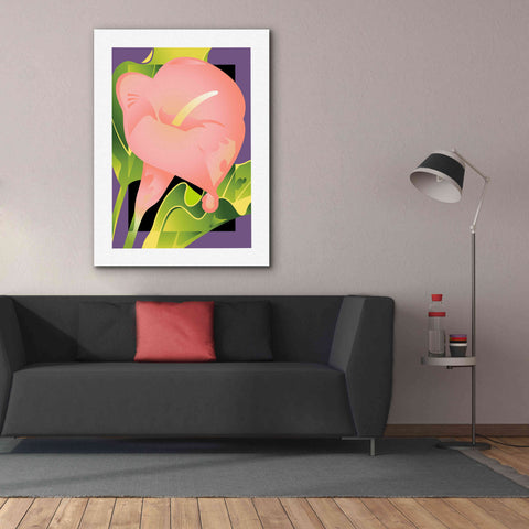 Image of 'Calla Pink' by David Chestnutt, Giclee Canvas Wall Art,40 x 54
