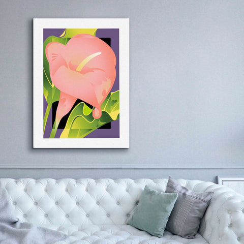 Image of 'Calla Pink' by David Chestnutt, Giclee Canvas Wall Art,40 x 54