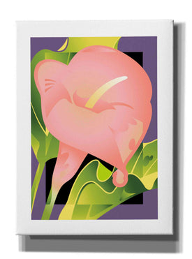 'Calla Pink' by David Chestnutt, Giclee Canvas Wall Art