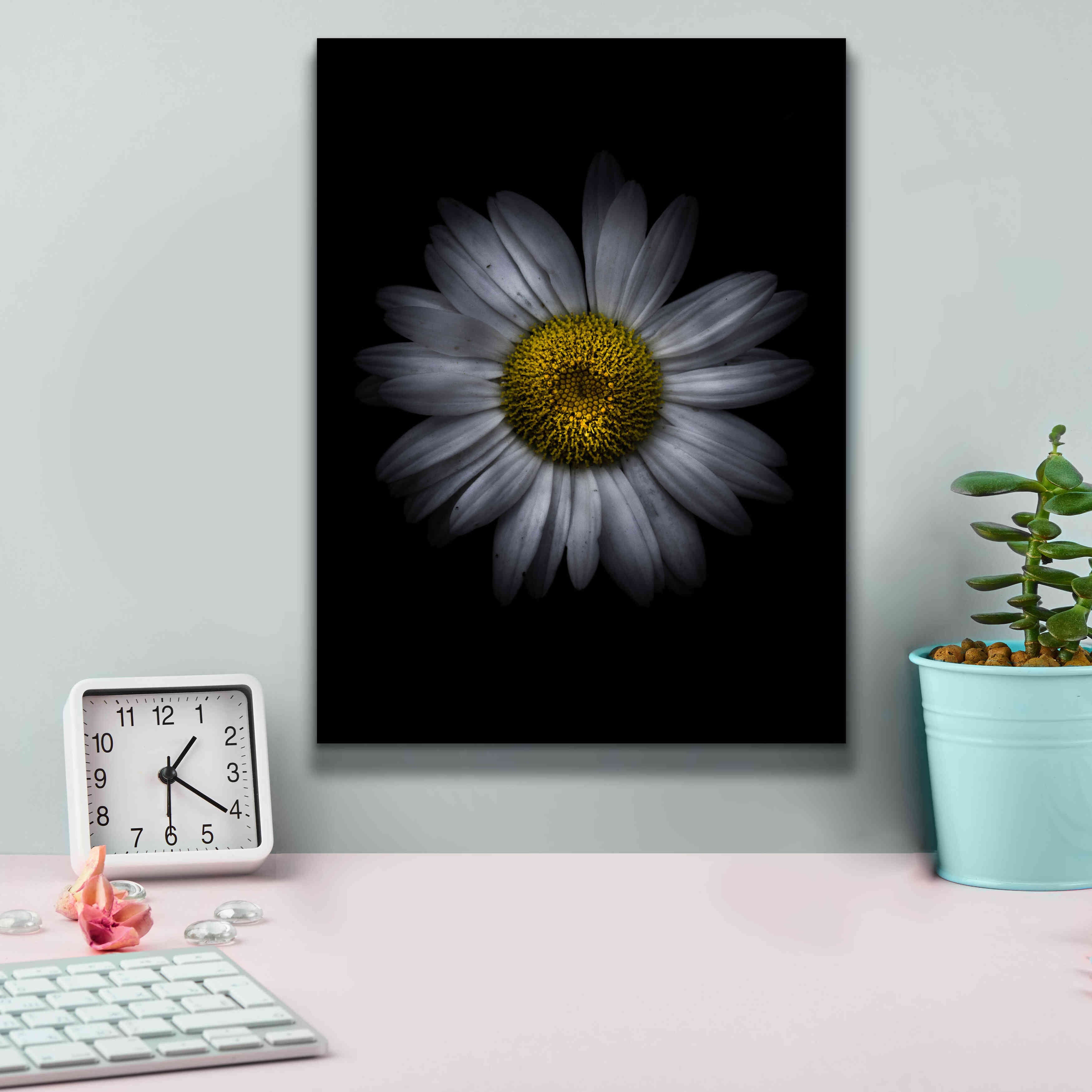 'Backyard Flowers 13 Color Version' by Brian Carson, Giclee Canvas Wall Art,12 x 16