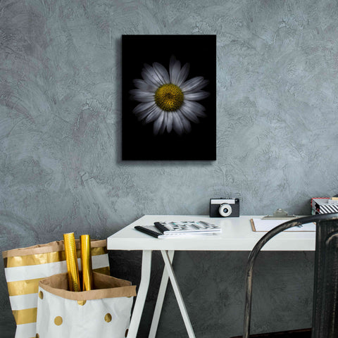 Image of 'Backyard Flowers 13 Color Version' by Brian Carson, Giclee Canvas Wall Art,12 x 16