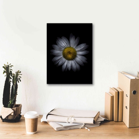 Image of 'Backyard Flowers 13 Color Version' by Brian Carson, Giclee Canvas Wall Art,12 x 16