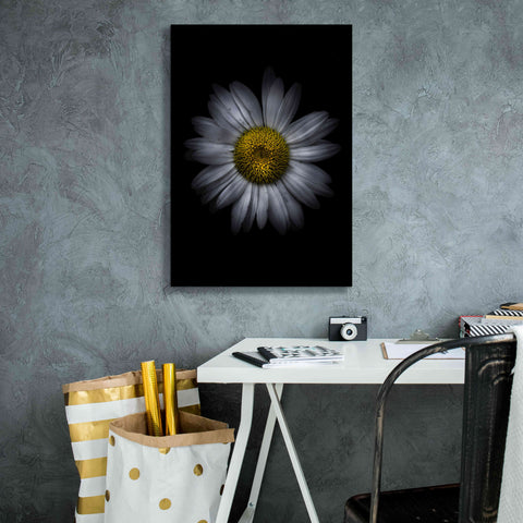 Image of 'Backyard Flowers 13 Color Version' by Brian Carson, Giclee Canvas Wall Art,18 x 26