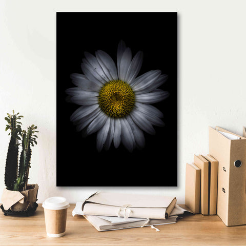 Image of 'Backyard Flowers 13 Color Version' by Brian Carson, Giclee Canvas Wall Art,18 x 26