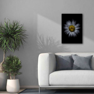 'Backyard Flowers 13 Color Version' by Brian Carson, Giclee Canvas Wall Art,18 x 26