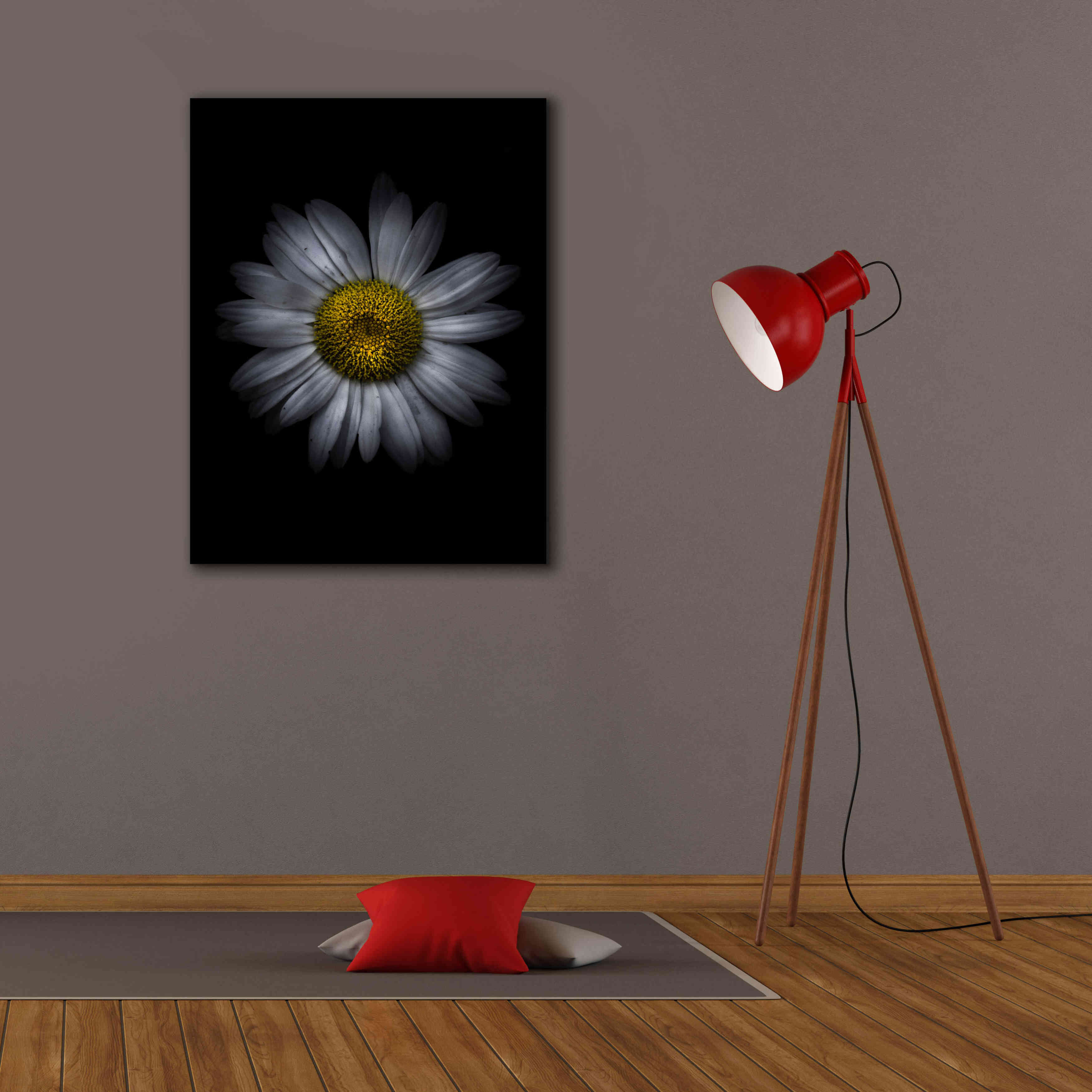 'Backyard Flowers 13 Color Version' by Brian Carson, Giclee Canvas Wall Art,26 x 34