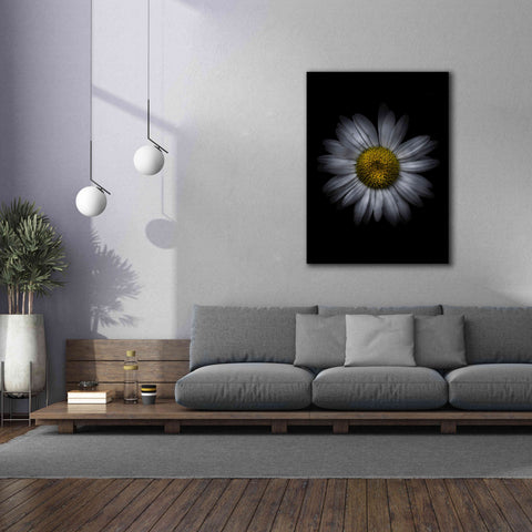 Image of 'Backyard Flowers 13 Color Version' by Brian Carson, Giclee Canvas Wall Art,40 x 54