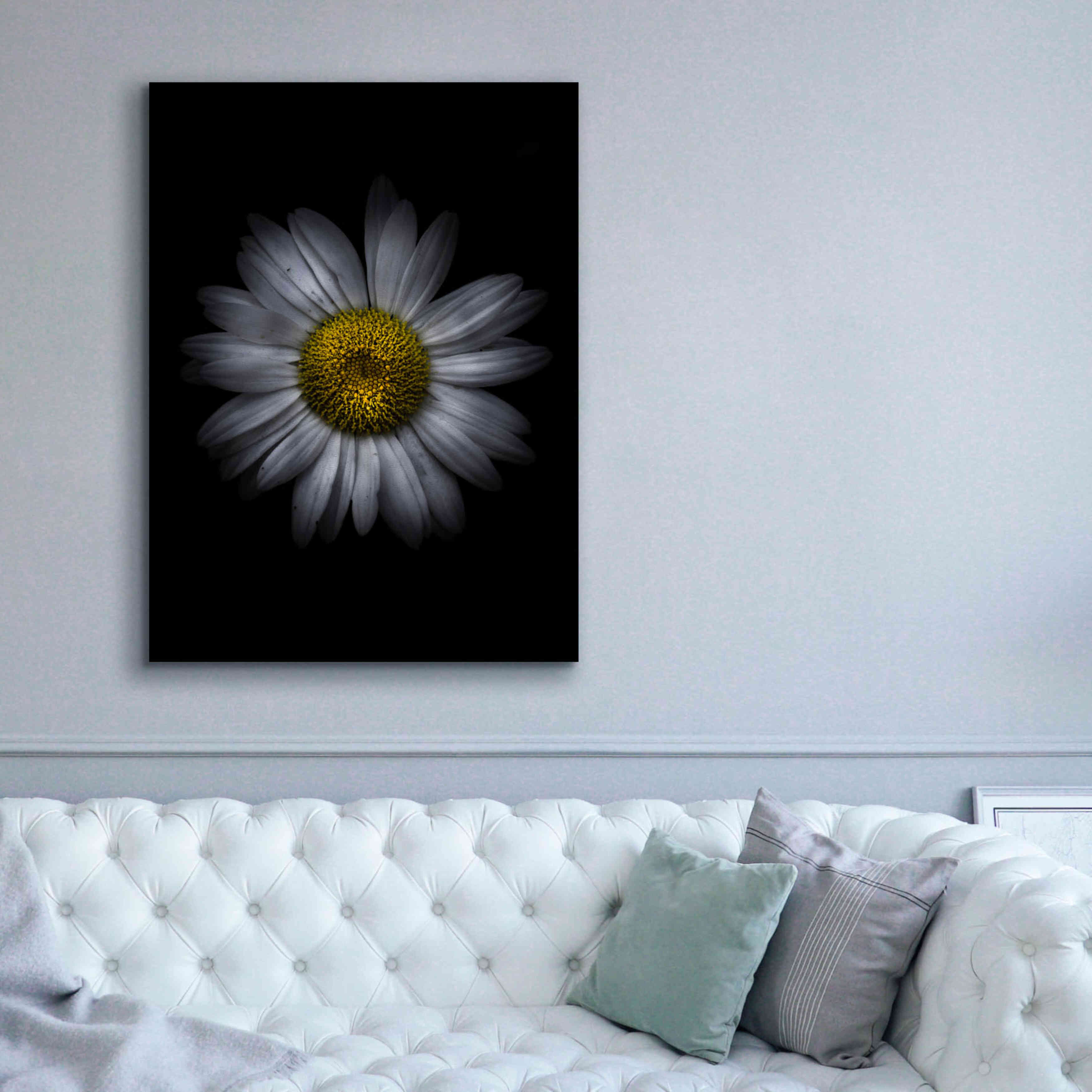 'Backyard Flowers 13 Color Version' by Brian Carson, Giclee Canvas Wall Art,40 x 54