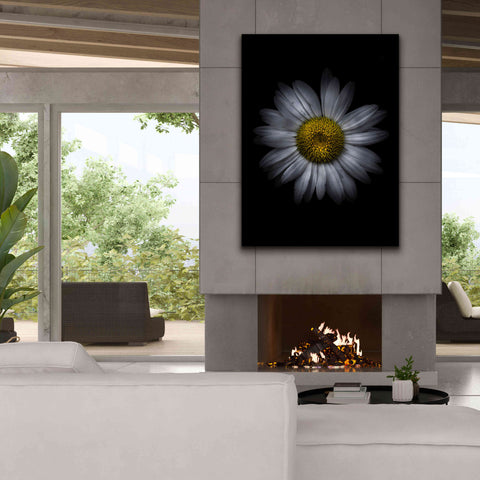 Image of 'Backyard Flowers 13 Color Version' by Brian Carson, Giclee Canvas Wall Art,40 x 54