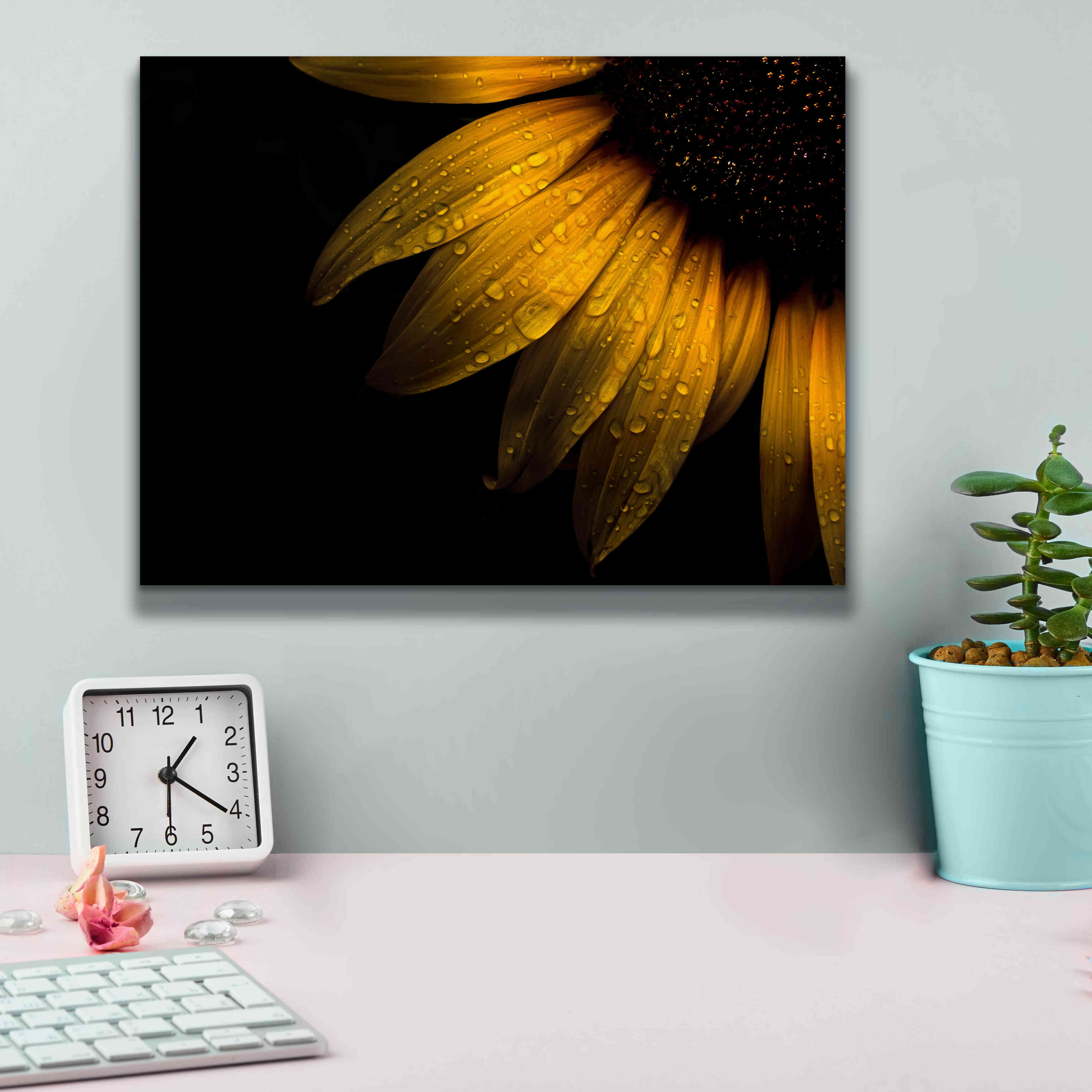 'Backyard Flowers 28 Sunflower' by Brian Carson, Giclee Canvas Wall Art,16 x 12