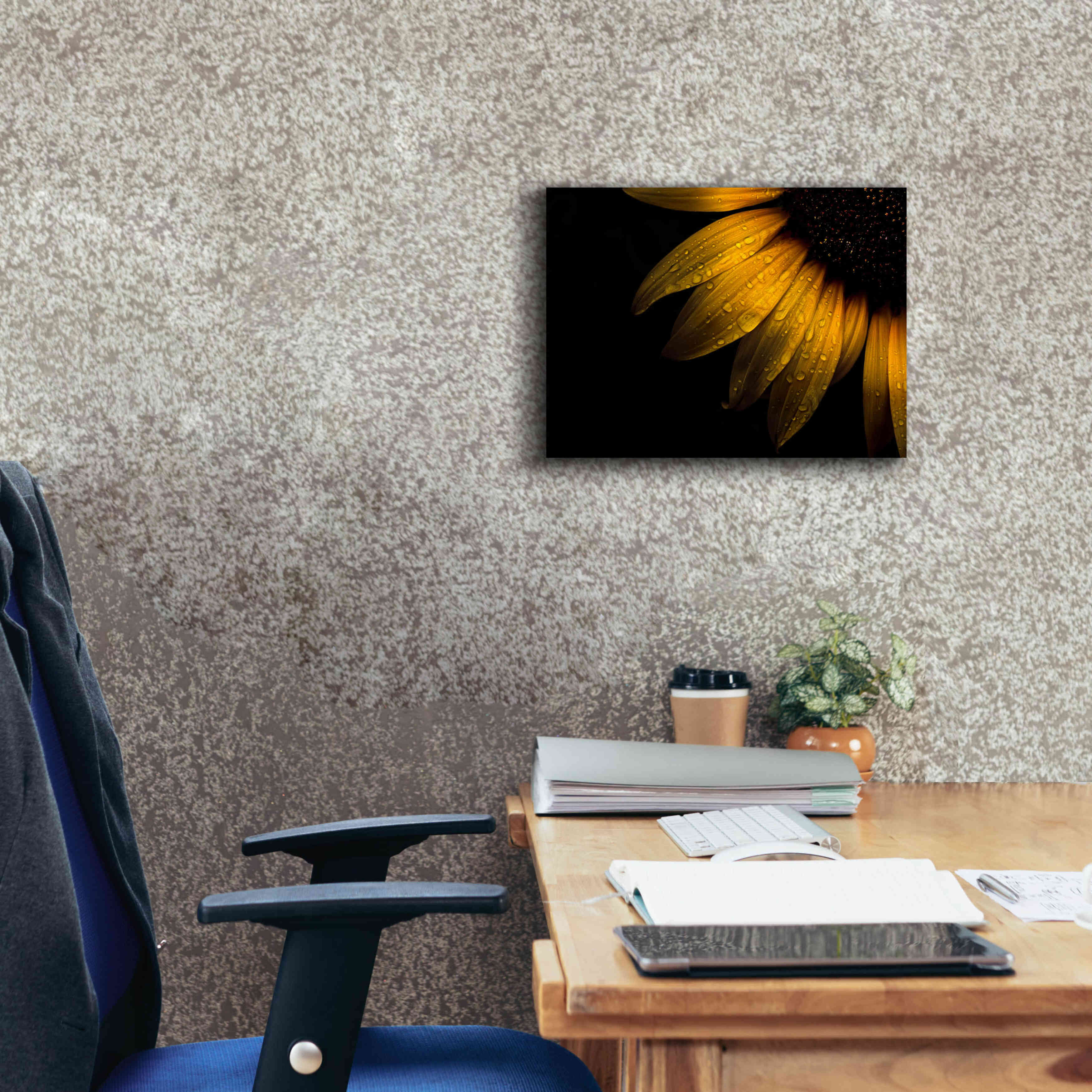 'Backyard Flowers 28 Sunflower' by Brian Carson, Giclee Canvas Wall Art,16 x 12