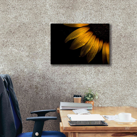 Image of 'Backyard Flowers 28 Sunflower' by Brian Carson, Giclee Canvas Wall Art,26 x 18