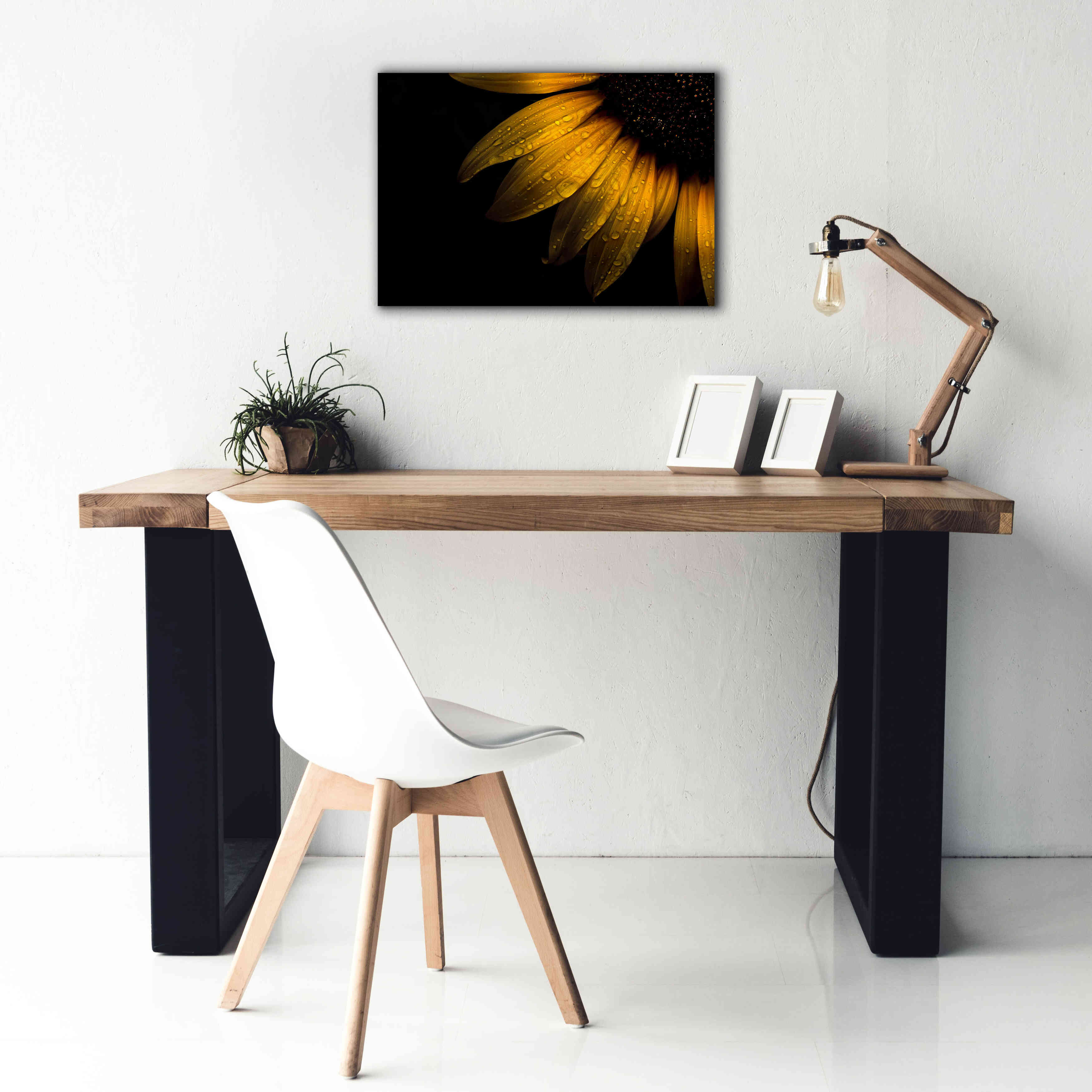 'Backyard Flowers 28 Sunflower' by Brian Carson, Giclee Canvas Wall Art,26 x 18