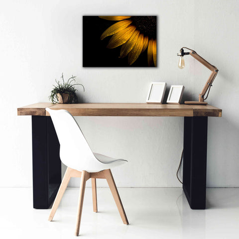Image of 'Backyard Flowers 28 Sunflower' by Brian Carson, Giclee Canvas Wall Art,26 x 18