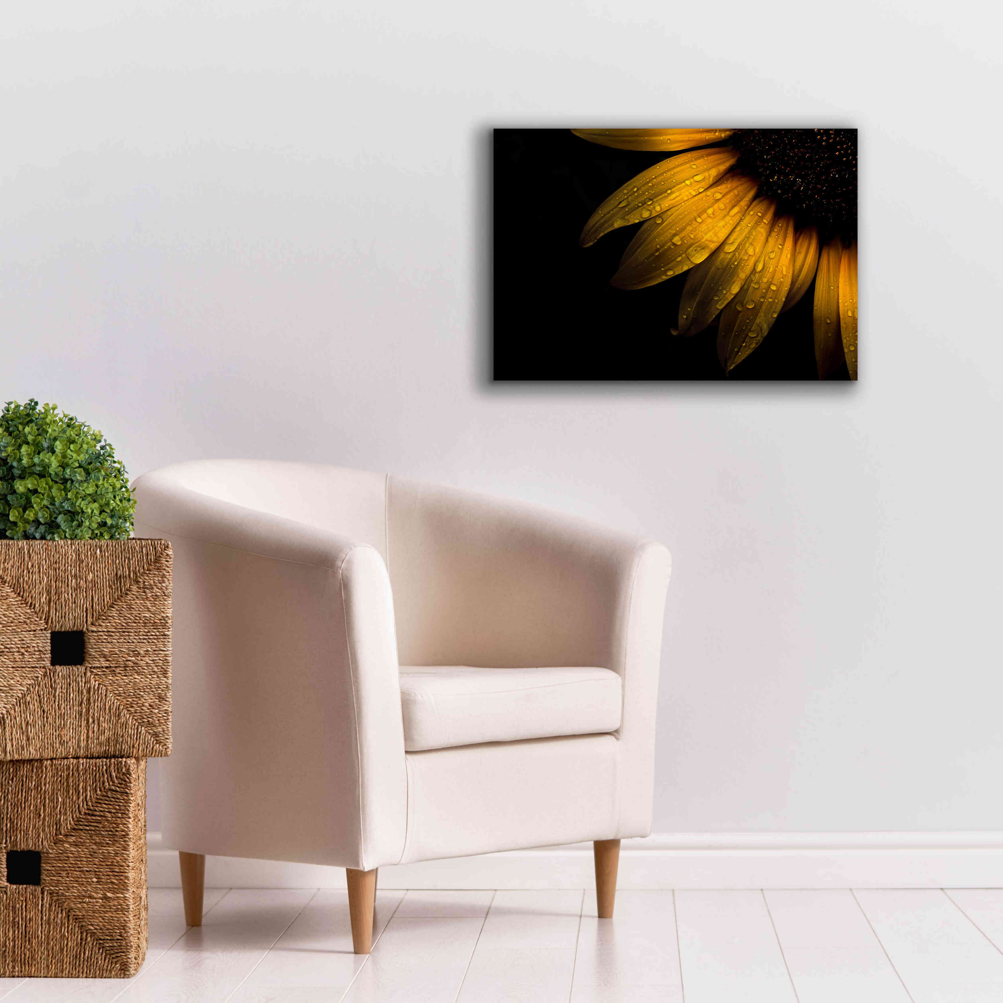 'Backyard Flowers 28 Sunflower' by Brian Carson, Giclee Canvas Wall Art,26 x 18