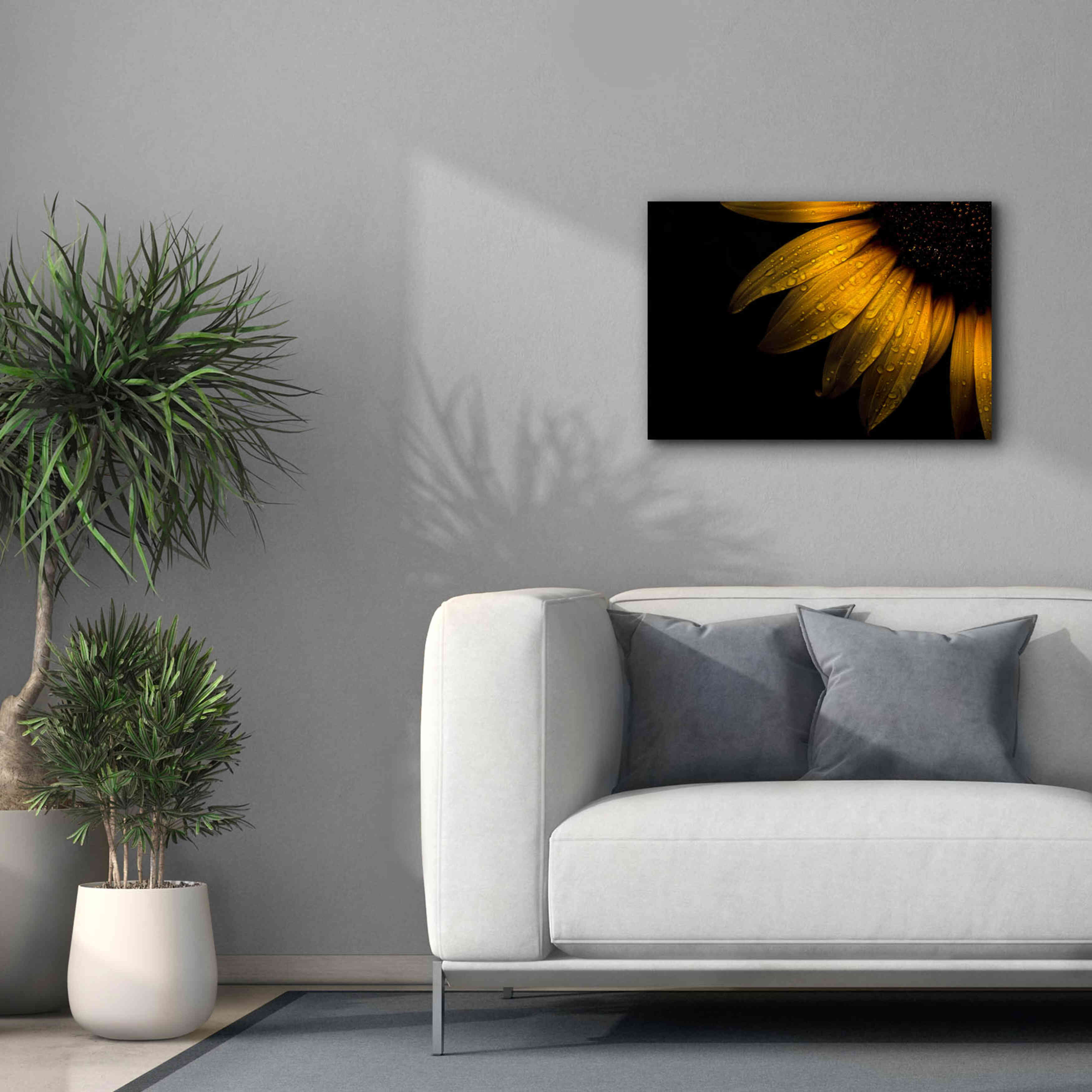 'Backyard Flowers 28 Sunflower' by Brian Carson, Giclee Canvas Wall Art,26 x 18