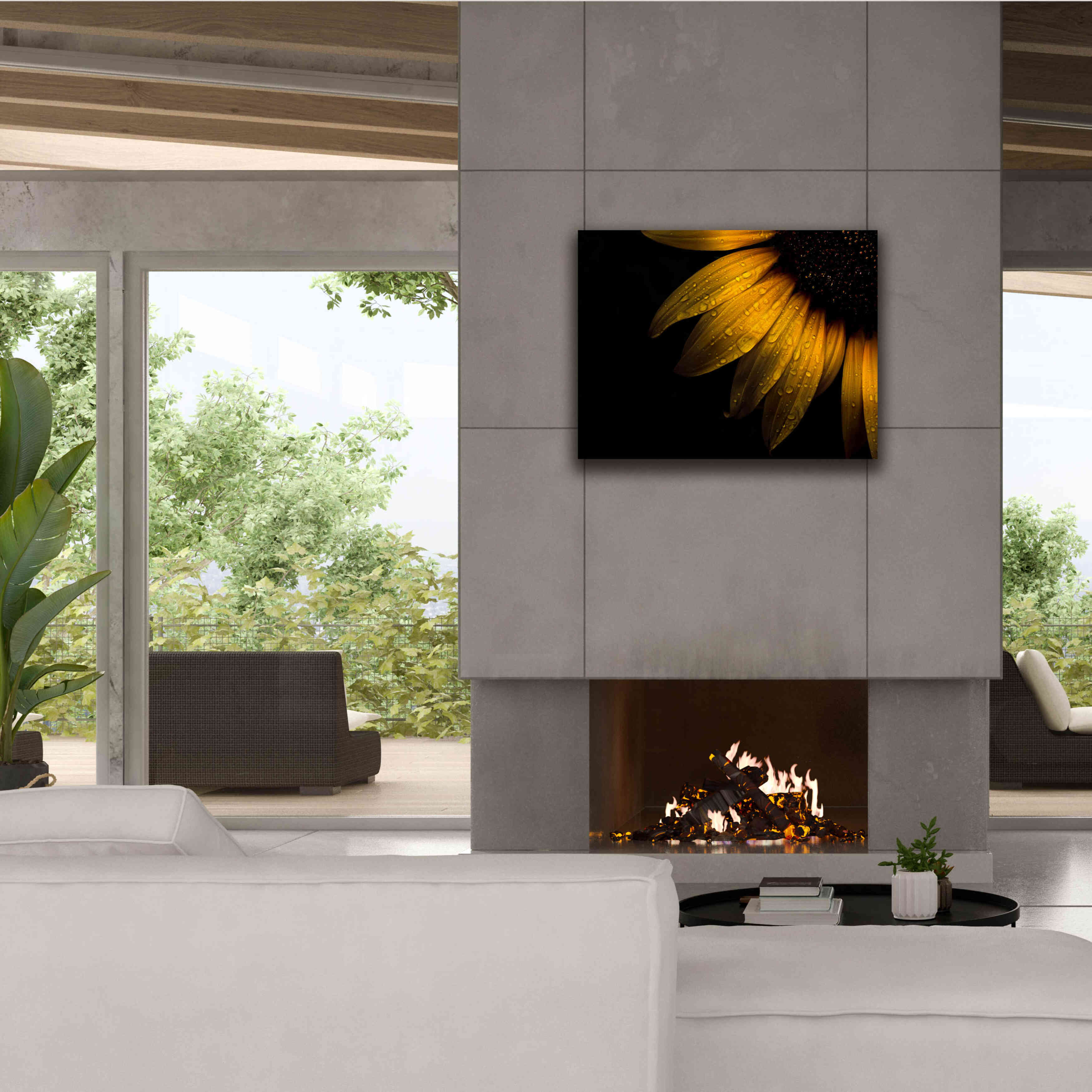 'Backyard Flowers 28 Sunflower' by Brian Carson, Giclee Canvas Wall Art,34 x 26