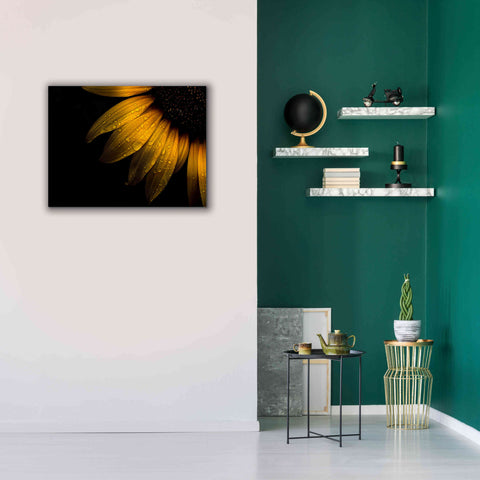 Image of 'Backyard Flowers 28 Sunflower' by Brian Carson, Giclee Canvas Wall Art,34 x 26