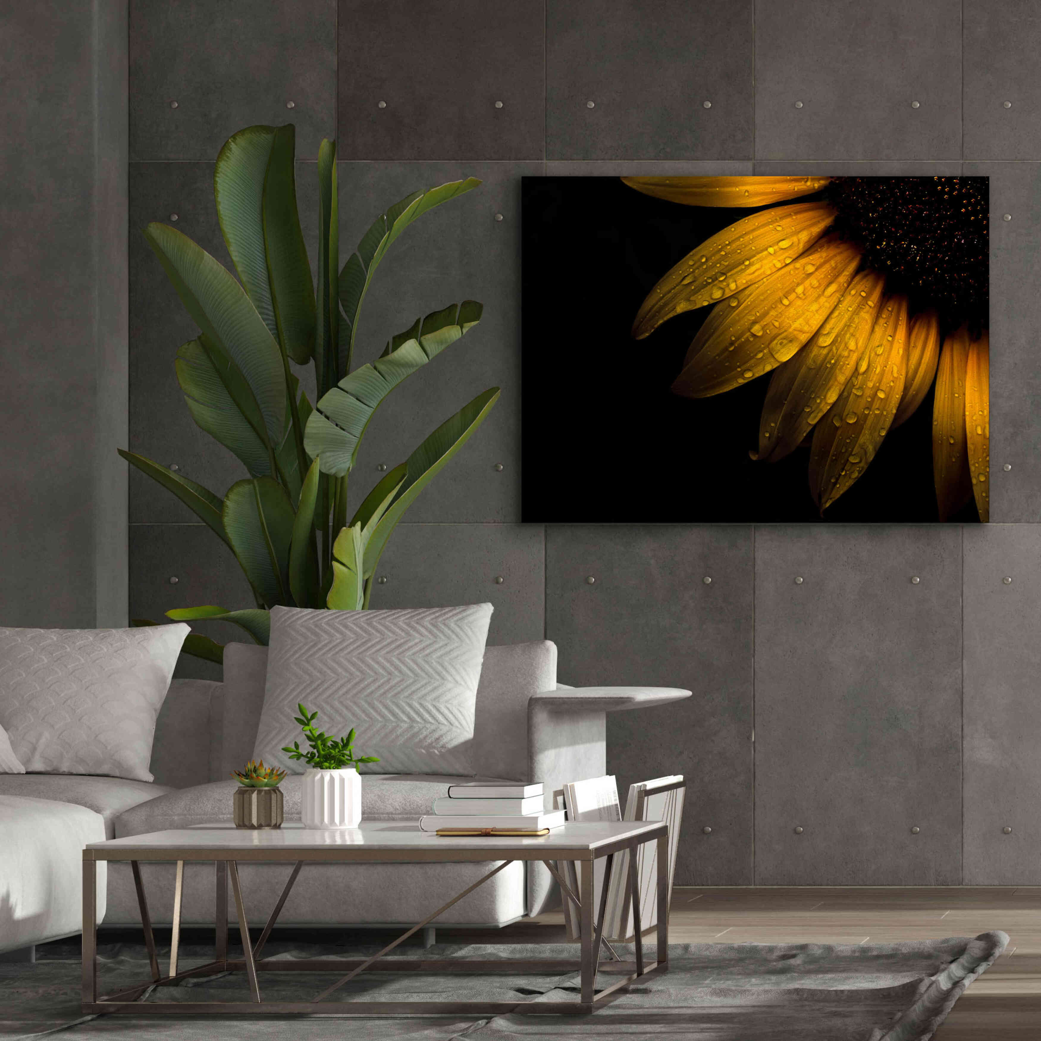 'Backyard Flowers 28 Sunflower' by Brian Carson, Giclee Canvas Wall Art,54 x 40