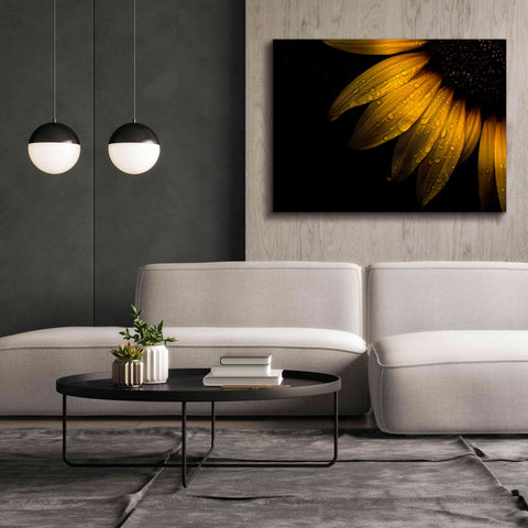 Image of 'Backyard Flowers 28 Sunflower' by Brian Carson, Giclee Canvas Wall Art,54 x 40