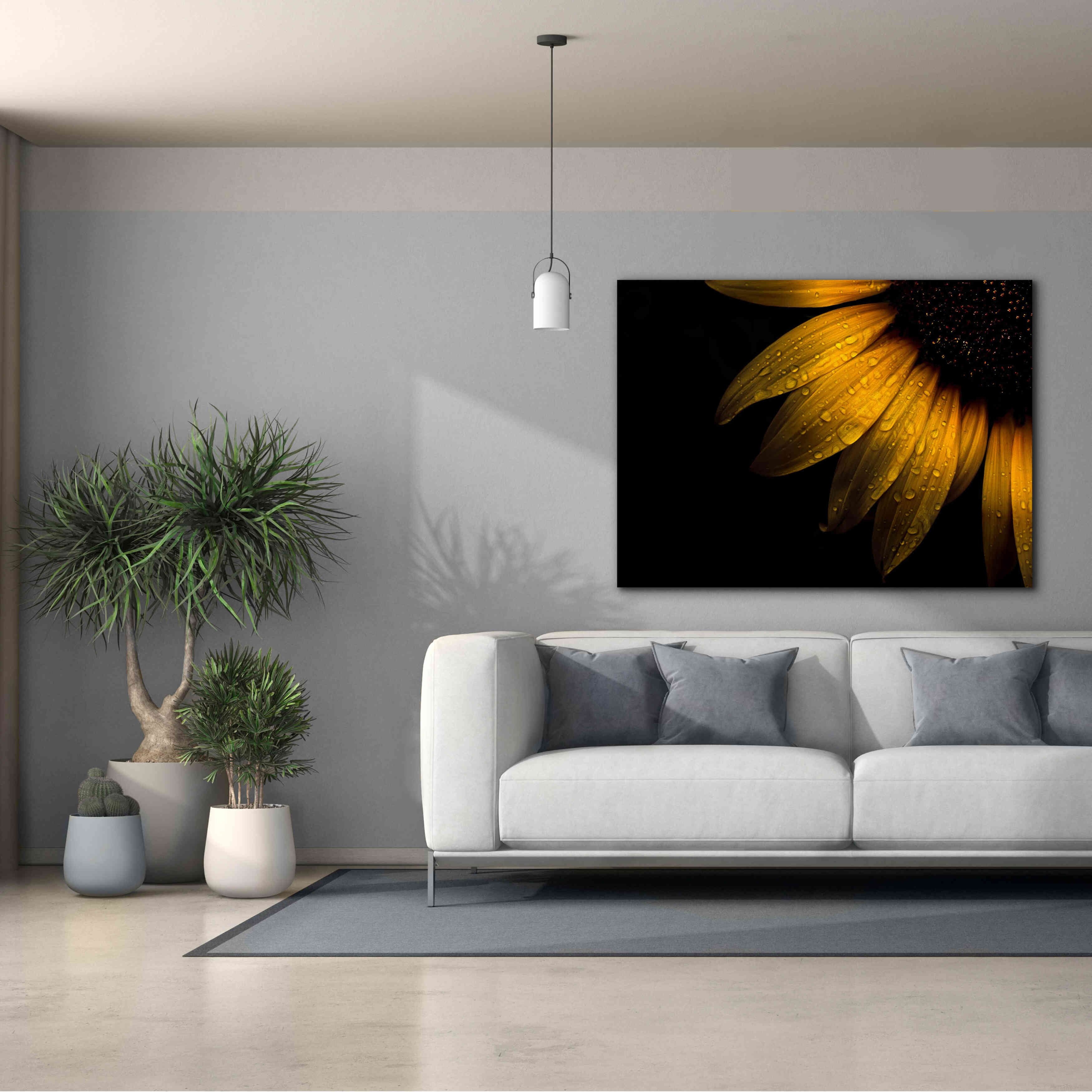 'Backyard Flowers 28 Sunflower' by Brian Carson, Giclee Canvas Wall Art,54 x 40