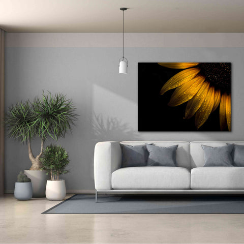Image of 'Backyard Flowers 28 Sunflower' by Brian Carson, Giclee Canvas Wall Art,54 x 40
