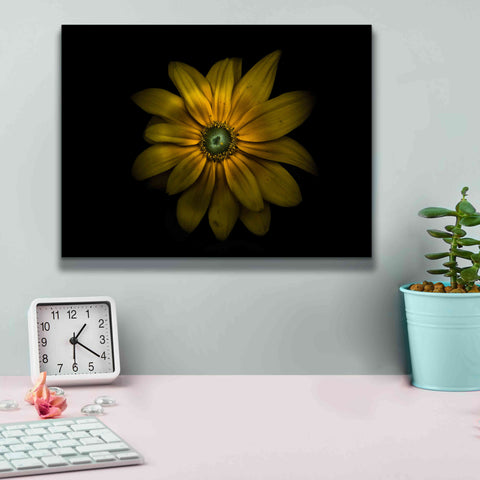 Image of 'Backyard Flowers 34 Color Version' by Brian Carson, Giclee Canvas Wall Art,16 x 12