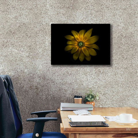 Image of 'Backyard Flowers 34 Color Version' by Brian Carson, Giclee Canvas Wall Art,26 x 18