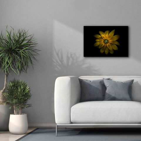 Image of 'Backyard Flowers 34 Color Version' by Brian Carson, Giclee Canvas Wall Art,26 x 18