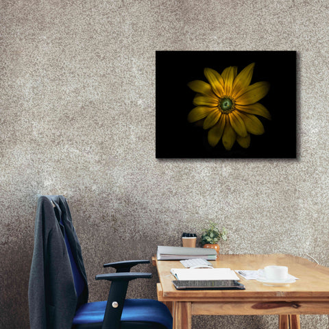 Image of 'Backyard Flowers 34 Color Version' by Brian Carson, Giclee Canvas Wall Art,34 x 26