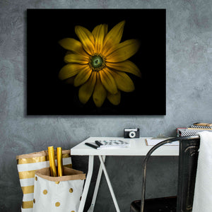 'Backyard Flowers 34 Color Version' by Brian Carson, Giclee Canvas Wall Art,34 x 26