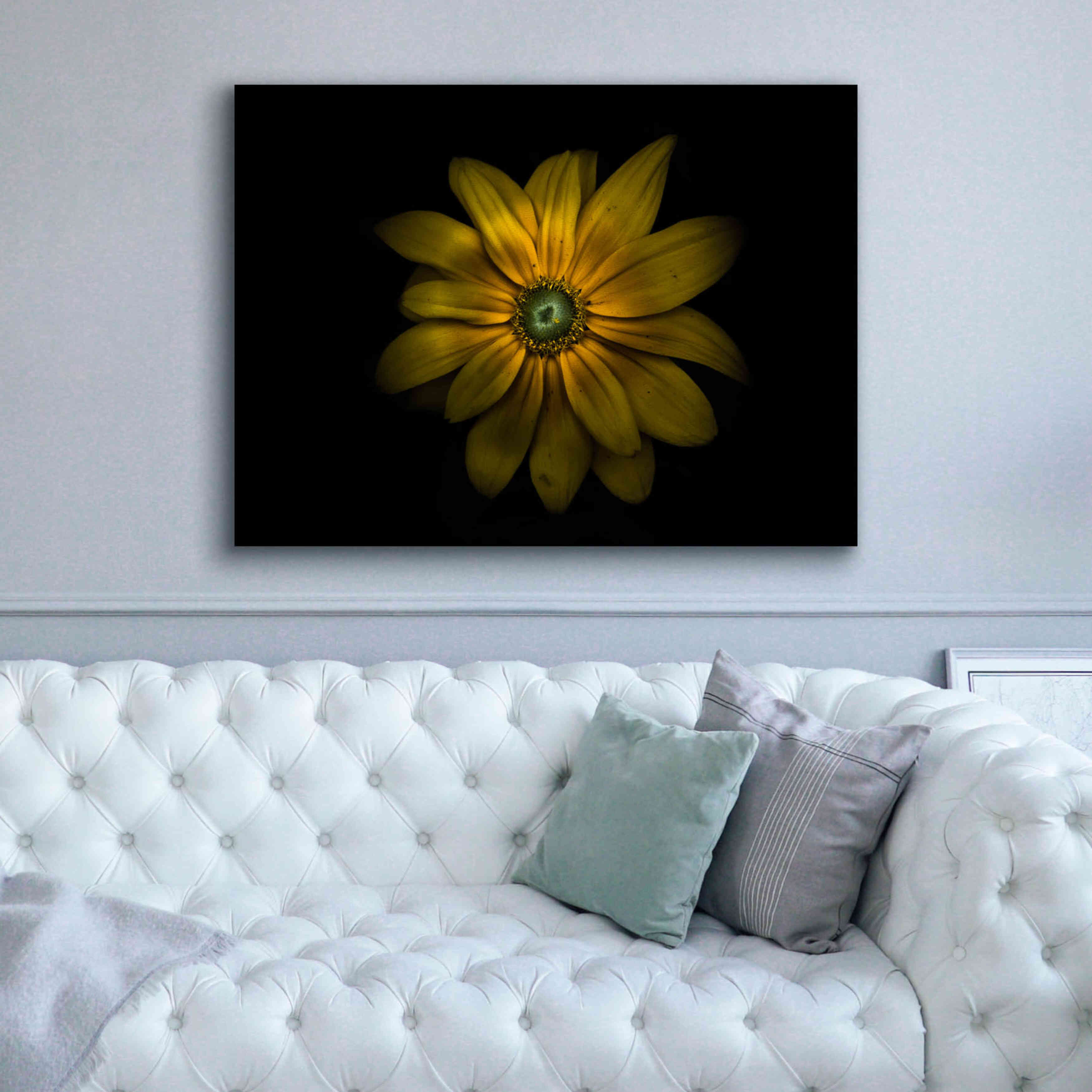 'Backyard Flowers 34 Color Version' by Brian Carson, Giclee Canvas Wall Art,54 x 40
