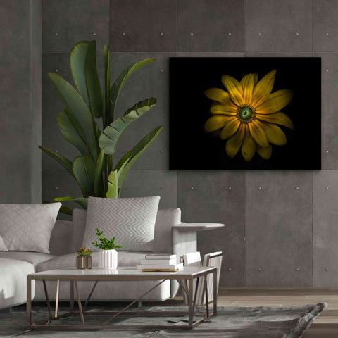 Image of 'Backyard Flowers 34 Color Version' by Brian Carson, Giclee Canvas Wall Art,54 x 40