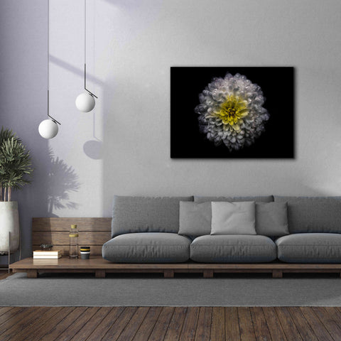 Image of 'Backyard Flowers 46 Color Version' by Brian Carson, Giclee Canvas Wall Art,54 x 40