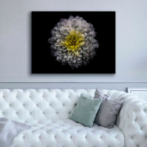 'Backyard Flowers 46 Color Version' by Brian Carson, Giclee Canvas Wall Art,54 x 40