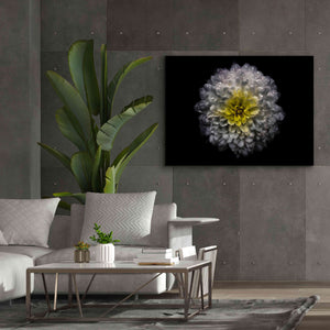 'Backyard Flowers 46 Color Version' by Brian Carson, Giclee Canvas Wall Art,54 x 40